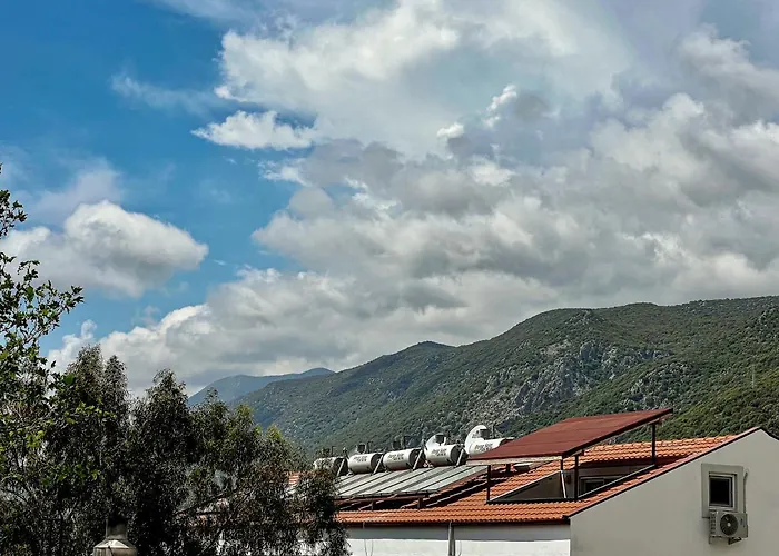 Centre - The Rush Apart-2 *